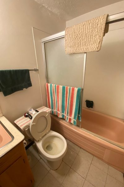 230-103-bath-rotated