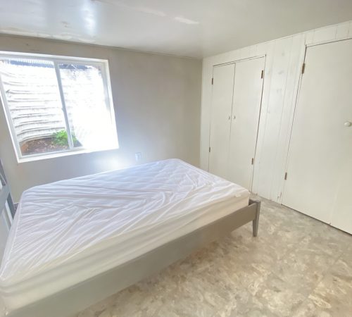 Lower level bedroom 2