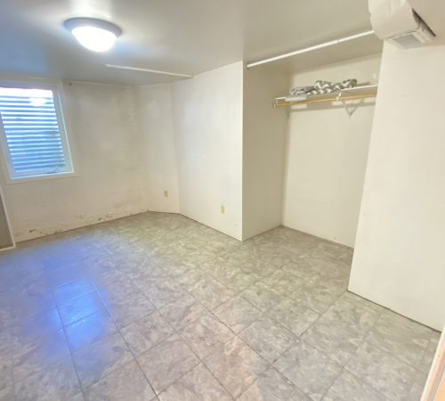 Lower level bedroom 1